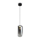 Подвесной светильник Freya FR6134PL-L4SM Idol