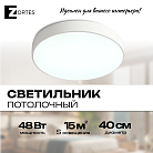 Потолочный светильник Zortes ZRS.02564.48 TORTTY