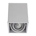 Встраиваемый светильник Arte Lamp A5942PL-1WH CARDANI