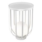 Светильник настольный ST-Luce SL6129.504.01 NORDIC