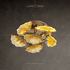 Потолочная люстра SELVI C 6 плафонов. Lampatron selvi-c-6 2502-5683