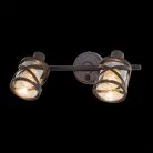 Спот Citilux CL536625 Гессен