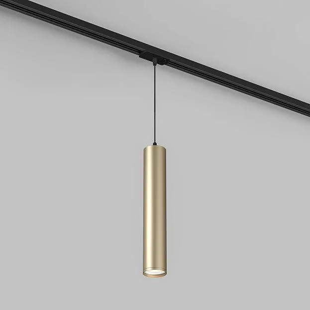 Трековый светильник Denkirs DK6210-BG TUBE