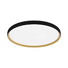 Светильник потолочный Черный, Золотистый/белая LED 1*42W 4000K Evoluce SLE1810-402-01 HELST