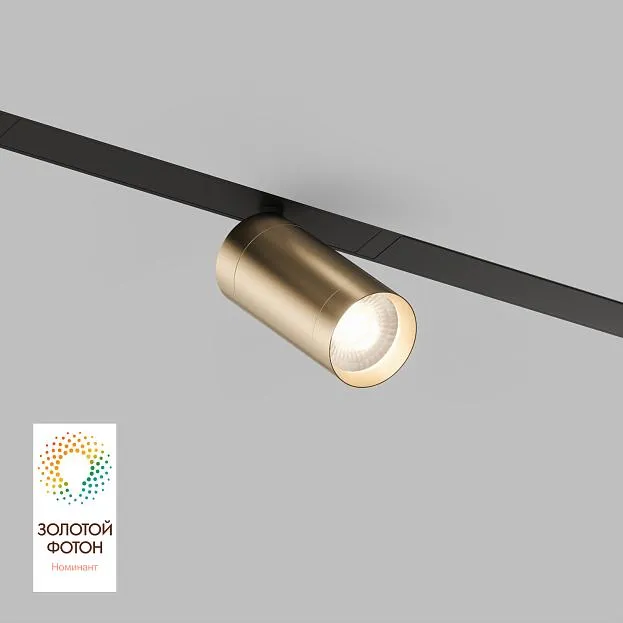 Трековый светильник Denkirs DK8010-BG Smart