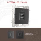 Розетка USB 2.1А+1А Arte Milano 206.46-1.black am