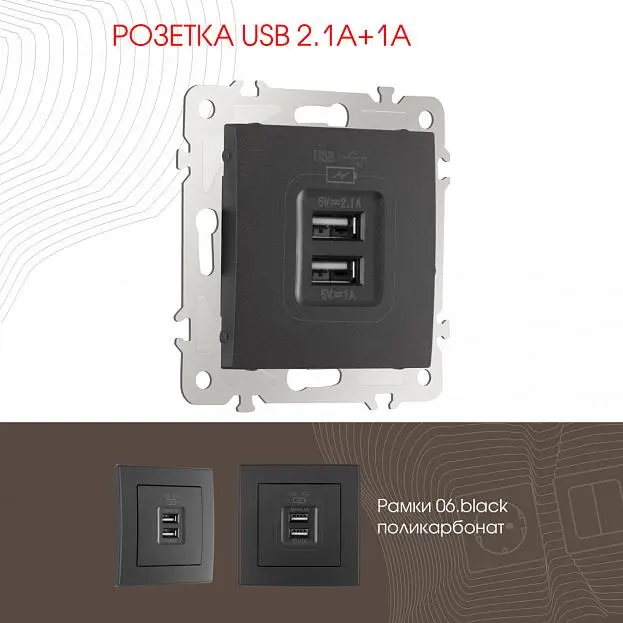Розетка USB 2.1А+1А Arte Milano 206.46-1.black am