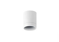 Потолочный светильник Donolux DL18480R5W1W IP44 BARELL