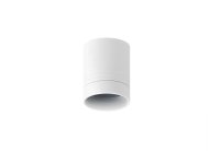Потолочный светильник Donolux DL18480R5W1W IP44 BARELL