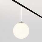 Трековый подвесной светильник Maytoni Technical TR039-2-5W3K Luna