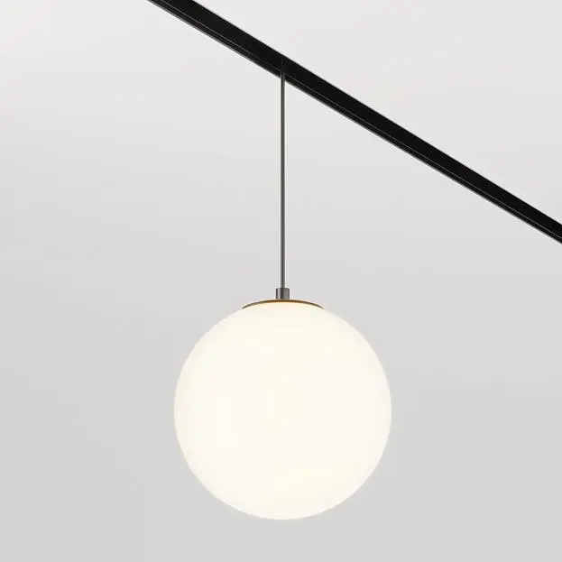 Трековый подвесной светильник Maytoni Technical TR039-2-5W3K Luna