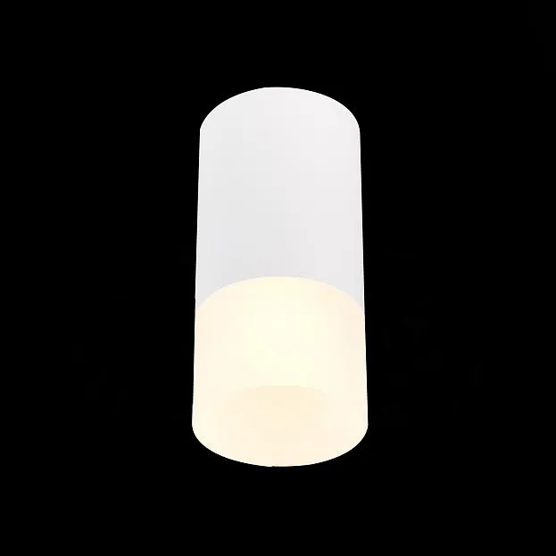 Светильник потолочный ST LUCE ST100.512.01 ST100