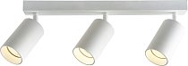 Потолочный светильник спот Brizzi BR08087 Aras