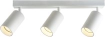 Потолочный светильник спот Brizzi BR08087 Aras