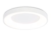 Потолочный светильник RGB с пультом управления Ambrella light FZ1401