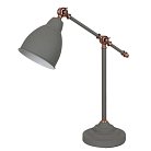 Светильник Настольный Arte Lamp A2054LT-1GY BRACCIO