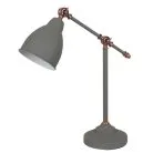 Светильник Настольный Arte Lamp A2054LT-1GY BRACCIO