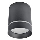 Потолочный светильник Arte Lamp A1949PL-1BK Elle