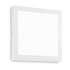 Настенно-потолочный светильник Ideal Lux Universal D40 Square 240374