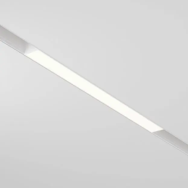 Трековый светильник Maytoni TR030-2-12W3K-W Basis Трековый светильник Maytoni TR030-2-12W3K-W Basis