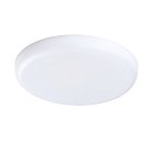 Потолочный светильник Lightstar 221244 ZOCCO