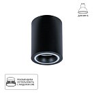 Потолочный светильник Arte Lamp A2267PL-1BK IMAI