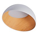 Потолочный светильник Zortes ZRS.01201.20 Baum