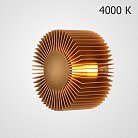 Бра SMED GOLD 4000 ImperiumLoft 283652-26 smed01