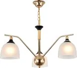 Подвесная люстра Escada 2123/3P Actinidia