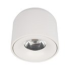 Потолочный светодиодный светильник Loft IT 10219 White 4000K Tictac