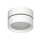 Влагозащищенный светильник LeDron BARREL MINI White