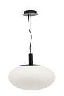 Подвесной светильник Maytoni P062PL-01W Perlas