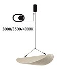 Подвесной светильник Odeon Light 7067/30L SILK