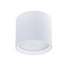 Точечный накладной светильник Arte Lamp A5548PL-1WH INTERCRUS