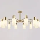 Потолочная люстра Reluce 94535-0.3-12