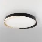 Светильник с пультом Чёрный + Клён Citilux CL754451G BONNY