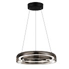 Светильник подвесной ST-Luce SL6019.323.01 FORAY
