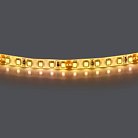 Лента теплого белого свечения 24V Lightstar 420853