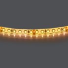 Лента теплого белого свечения 24V Lightstar 420853