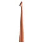 Настольная лампа Arte Lamp A3283LT-2BR FUSION