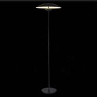 Торшер ST Luce SL6502.405.01 ARMONICO