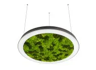 Подвесной светодиодный светильник, 72Ватт, D-800мм. Donolux dl800s72nw moss black Aura Moss