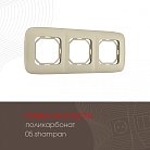 Рамка из поликарбоната на 3 поста Arte Milano 505.05-3.shampan am