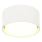 Светильник потолочный ST-Luce ST164.502.01