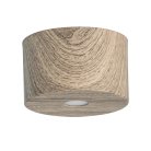 Потолочный светильник DeMarkt 712010201 Иланг