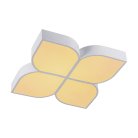 Потолочный светильник Escada 10214/4LED