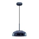 Подвесной светильник Loft IT 8210-P Grey Disk