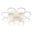 Потолочная люстра Vitaluce V4609-0/12PL