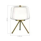 Светильник настольный ST-Luce SL6127.304.01 PANDORA