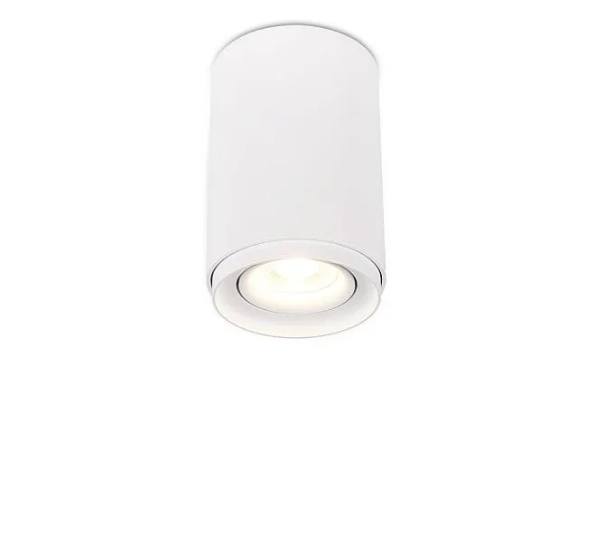 Точечный светильник Simple Story 2065-1CLW